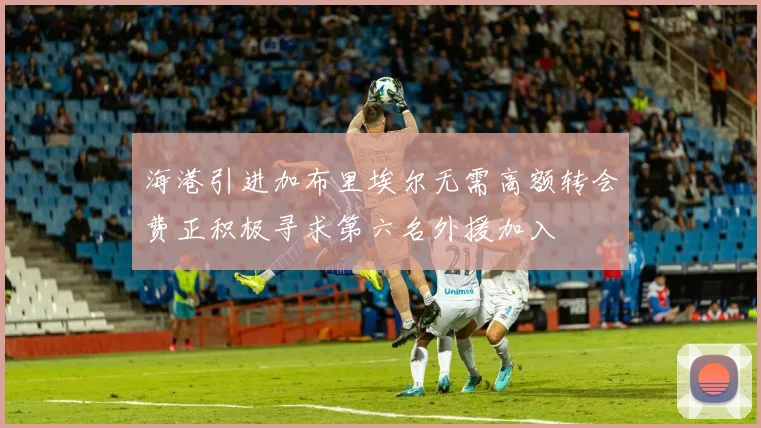 海港引进加布里埃尔无需高额转会费正积极寻求第六名外援加入